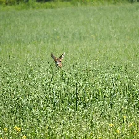Casa rural Casa Rural Blablao *