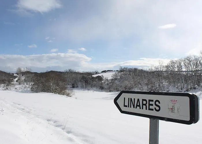 منزل ريفي Casa Rural Blablao Linares (Burgos)