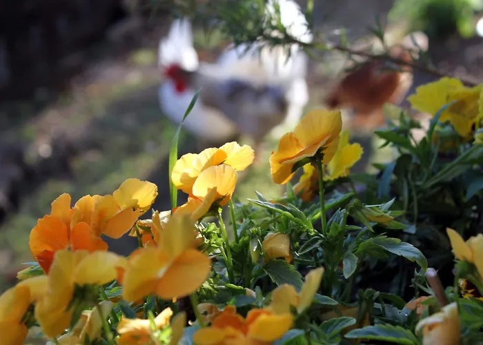 Casa Rural Blablao منزل ريفي *